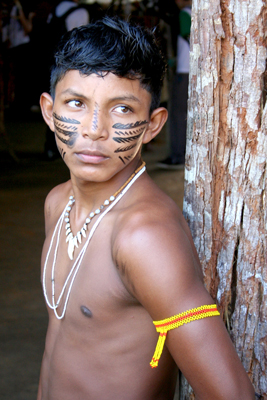 Home Amazônia - 2