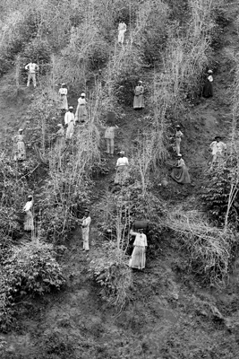 130 Anos de abolição 