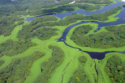 Amazônia