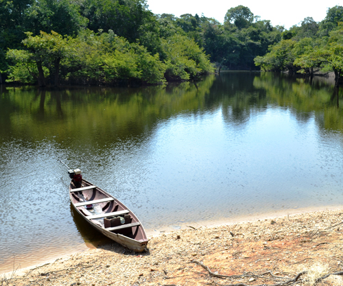 Amazônia 1