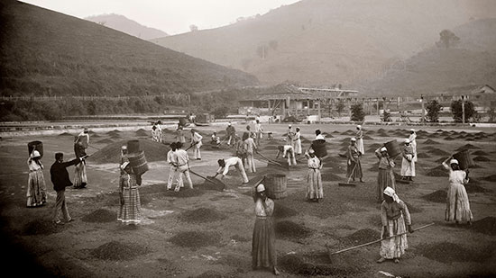 Escravos em fazenda de café no Vale do Paraíba