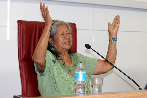 Floresta dos  Saberes - Catarina Tupi Guarani