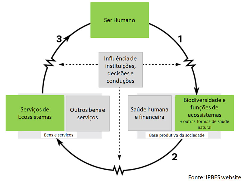 Ipbes