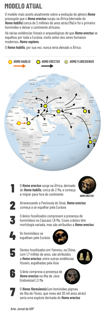 Mapa da evolução 1 - Jorusp