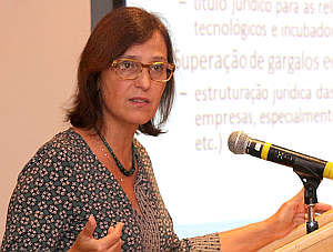 Maria Paula Dallari Bucci - Seminário Lei da Inovação