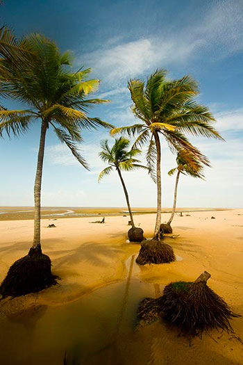 Praia de Cajuuna, Ilha de Marajó