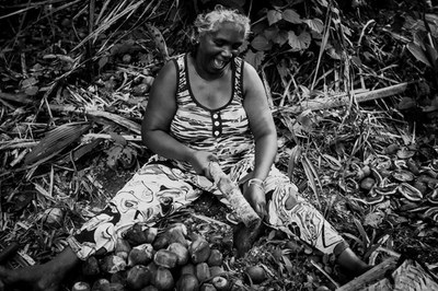 Quebradeira de babaçu