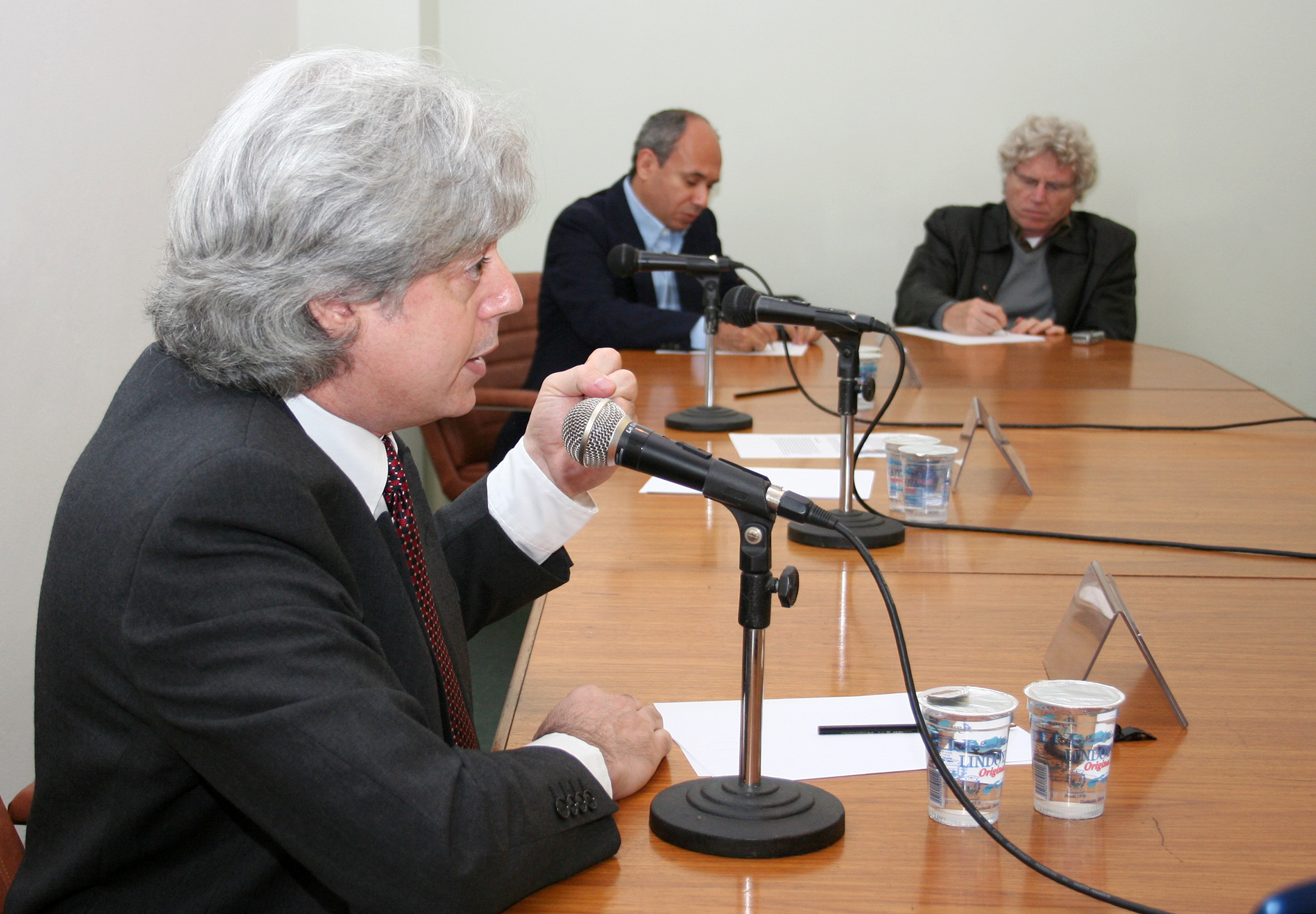 José Esteban Castro, Wagner Costa Ribeiro e pedro Jacobi