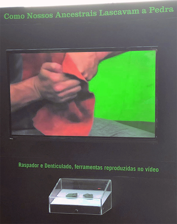 Exposição itinerante Do Macaco ao Homem