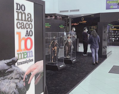 Exposição itinerante Do Macaco ao Homem