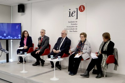 Roseli de Deus Lopes, Marcos Meira, Manuel Fernando Palacios da Cunha e Melo, Bernardete Gatti e Maria Helena Guimaraes de Castro