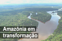 Grupo Amazônia em transformação