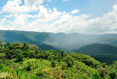 Pesquisas do Biota Síntese