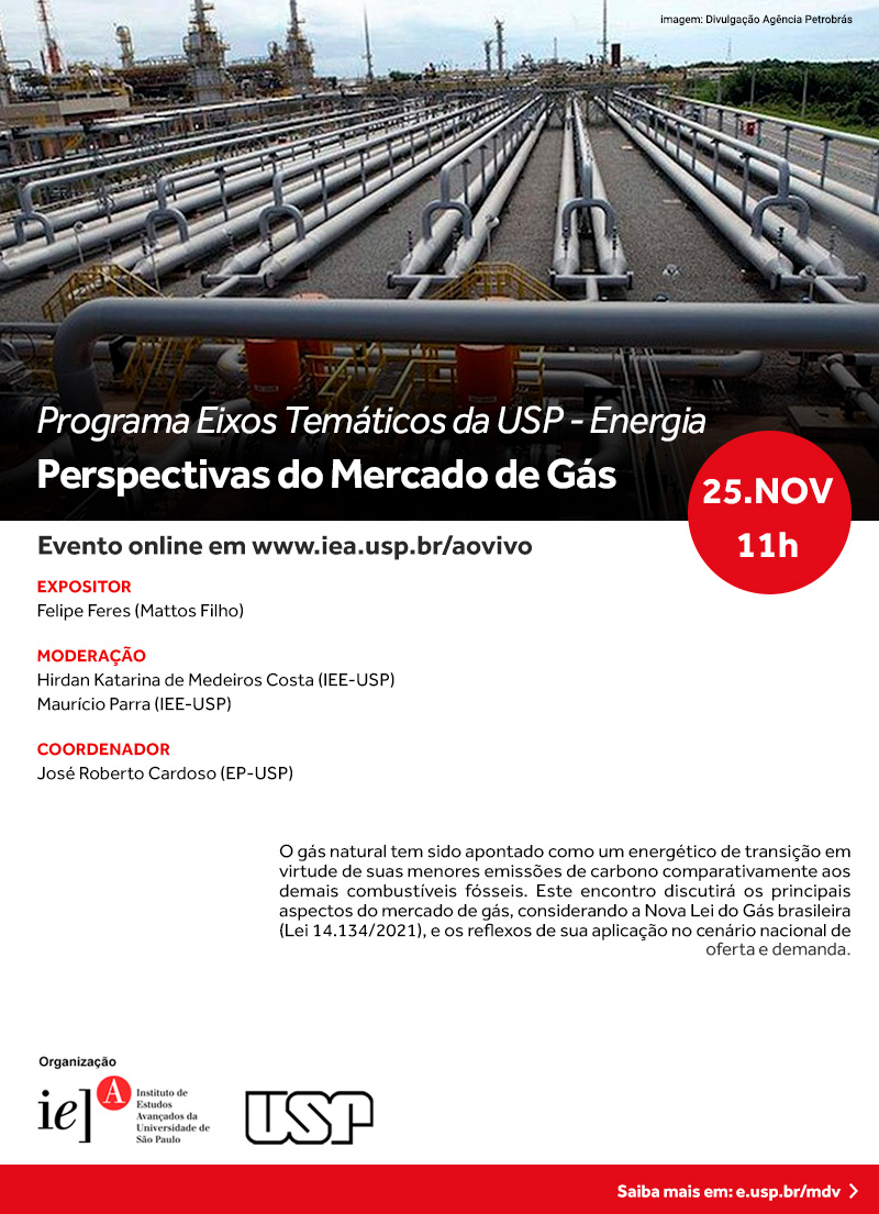 Programa Eixos Temáticos da USP - Energia: Perspectivas do Mercado de Gás