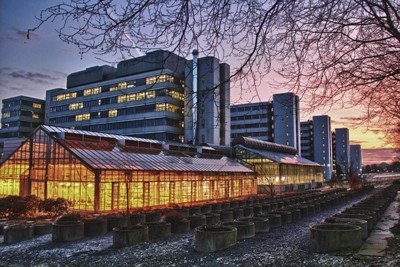 Universidade de Bielefeld