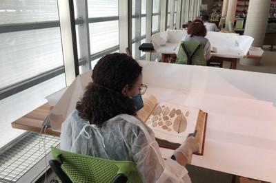 Funcionária da Biblioteca Brasiliana Guita e José Mindlin realiza trabalho de conservação em obras do acervo