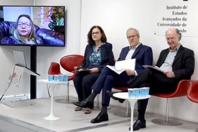 Taísa Mara Moraes Mendonça, via vídeo-conferência, Roseli de Deus Lopes, João Paulo Capobianco e  Nilson Gabas Junior 